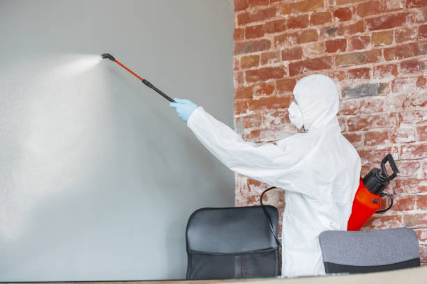 Best Indoor Air Quality Assessment  in Landrum, SC