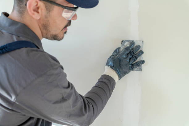 Best Mold-Related Health Consultation  in Landrum, SC