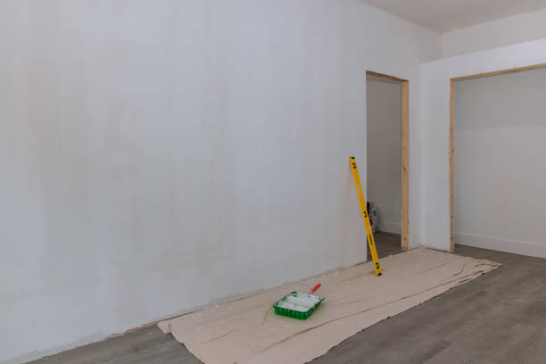 Best Post-Construction Mold Inspection  in Landrum, SC