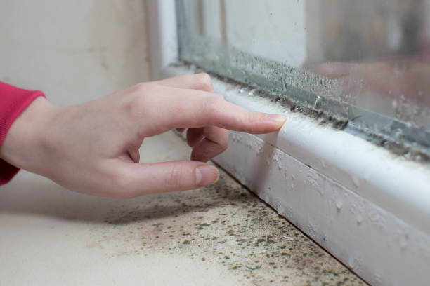 Best Dehumidification Services  in Landrum, SC