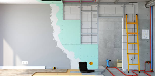 Best Black Mold Removal  in Landrum, SC
