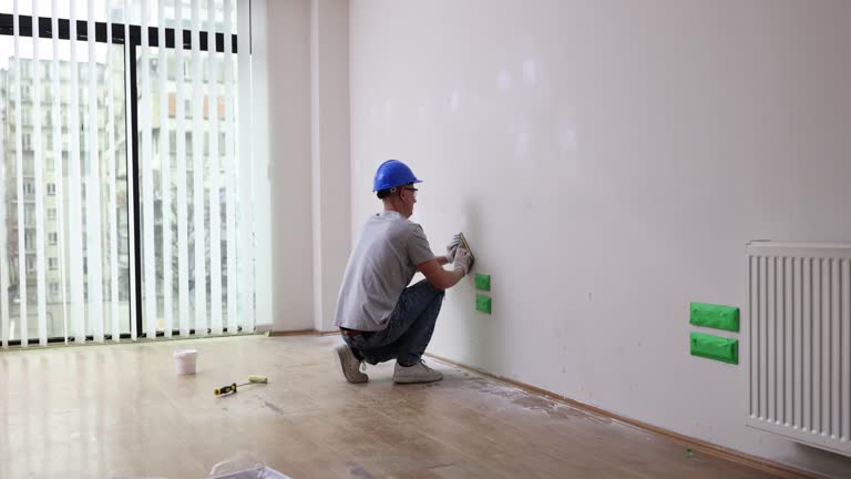 Best Post-Construction Mold Inspection  in Landrum, SC