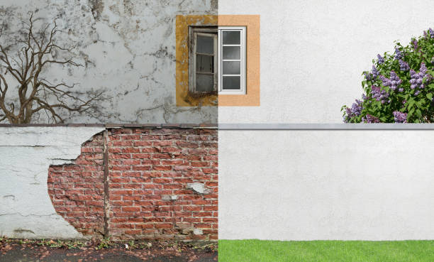 Best Environmental Consulting for Mold Prevention  in Landrum, SC