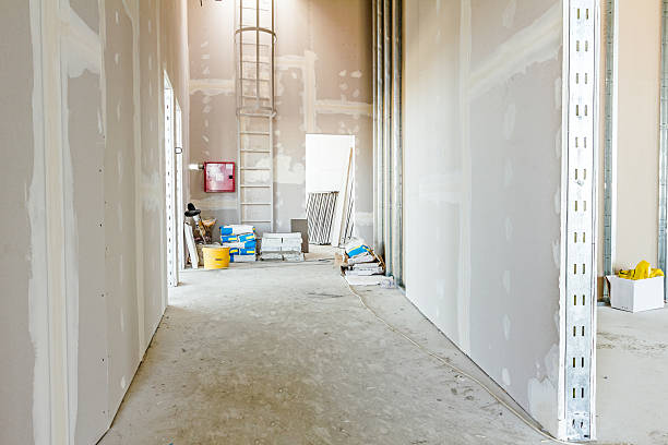 Biohazard Mold Removal in Landrum, SC