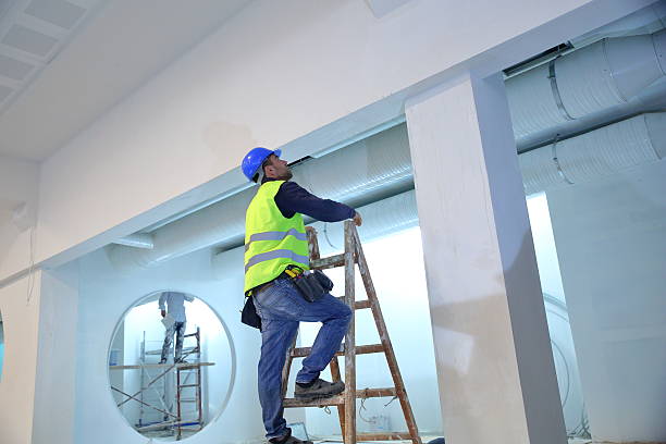 Trusted Landrum, SC Mold Removal Experts